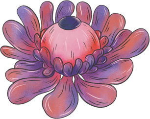 Illustration of an Eye in a Flower